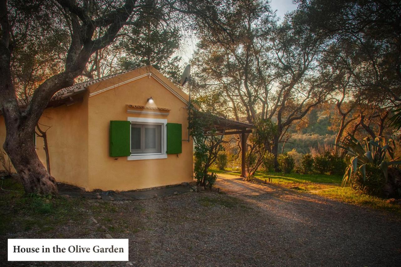House In The Olive Garden Apartamento Ágios Ioánnis Exterior foto