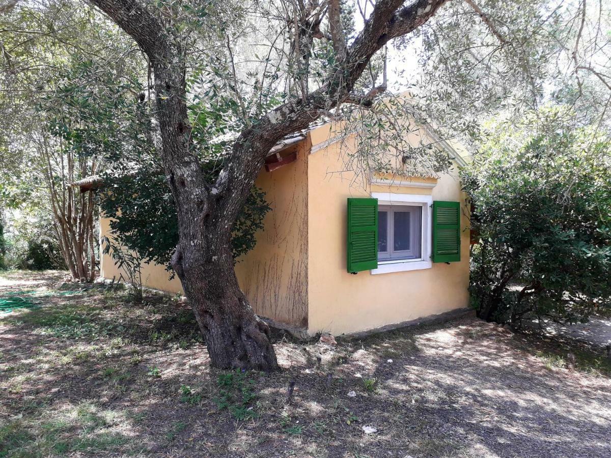 House In The Olive Garden Apartamento Ágios Ioánnis Exterior foto